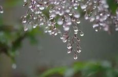 寒露节气的含义是什么 寒露节气吃什么食物