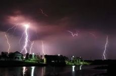 摆放什么可以使夫妻感情好 什么植物使夫妻感情好增加