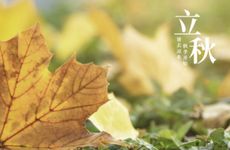 个性网名兄弟义气霸气