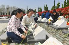 开车撞到狗是挡灾吗 民间传说狗死挡灾