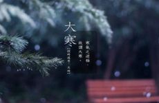 定制高低子母床实用吗 儿童房用高低子母床好吗