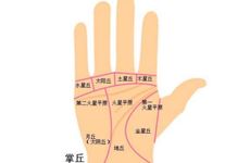 7种手相暗示大富大贵 太阳丘隆起很会赚钱