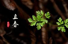 粉碎谣言：指甲上月牙数量和健康有关吗