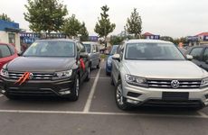 梦见白菜是什么预兆 有什么含义