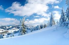 梦见到螃蟹怎么回事是什么意思 梦见螃蟹有什么预兆