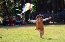 梦见自己腹泻裤裆里了有什么预兆