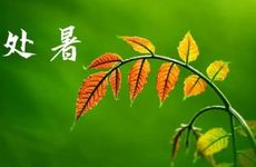 梦见山茶花树　周公解梦之梦到山茶花树