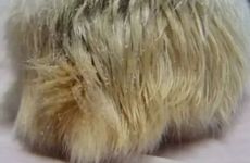 1996年属鼠人30岁会有姻缘吗