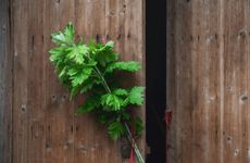 初七不能回娘家吗