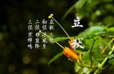 梦见顶着一座山好不好