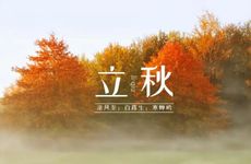 2014年出生的孩子今年几岁 周岁和虚岁多少了