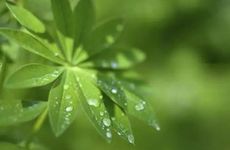 2022年谷雨坟墓可以立碑吗？立碑有什么讲究吗？