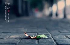 庚子年是哪几年 庚子年历年大事