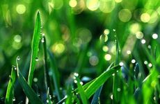 梦见餐馆 饭店怎么回事 梦见餐馆 饭店有什么预兆