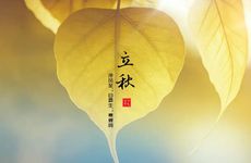 成为单身狗几率最高的星座