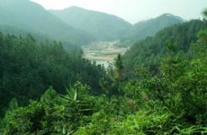 立碑时什么人不能参加最好回避 立碑时孕妇不宜参加