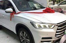 绿萝破财真的假的 怎么解释