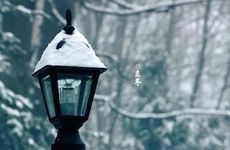 微信昵称男生简单气质