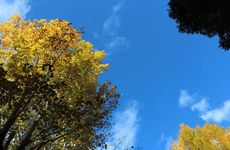 8月遇贵人提携的星座 事业创奇迹好运自来