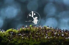 大暑可以回娘家吗 回娘家要带什么