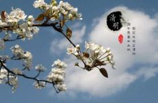 清明节迁坟有什么讲究和忌讳 清明迁坟注意事项