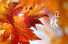 2022立秋适合吃的食物