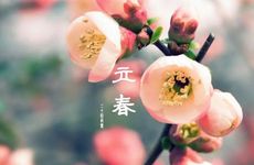 立春吃春饼下一句是什么 今年立春怎么过