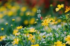 清明节扫墓有什么禁忌和要求