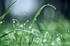 2022年立秋是几点几分几秒 2022年立秋准确时间几点几分