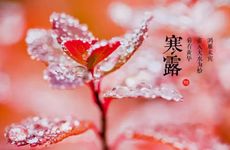 梦见不停地捡一元硬币有什么征兆