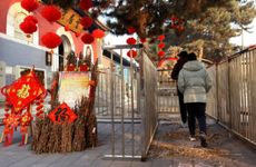 梦见地里白菜　周公解梦之梦到地里白菜