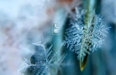 总是梦想能和男朋友周游世界的生肖女