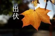 2023年你的事业将会何去何从