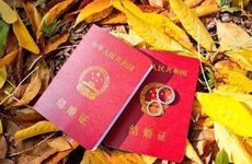 2022万圣节登记结婚好吗 万圣节领结婚证好么