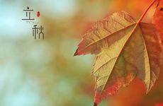 立秋节气的民俗活动及注意事项