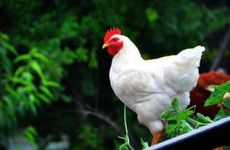 没担当 不爱了还选择欺骗的星座男