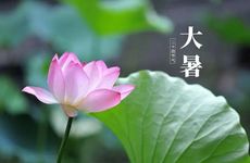 風水化煞用品大全 运财童子可招财辟邪