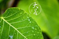 大暑期间天气有什么特点 大暑季节特点