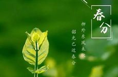 自我保护欲太强烈的星座