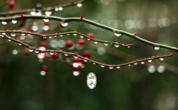 雨水节气的风俗活动 雨水都干什么