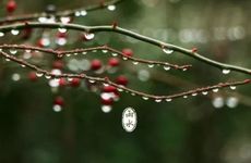 转运珠有用吗 转运珠应该怎么戴呢