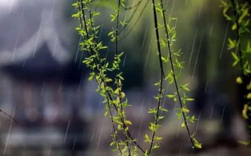 今年的雨水时间是公历的几月几日2023