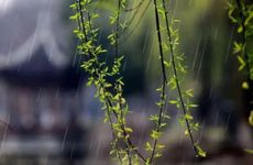 今年的雨水时间是公历的几月几日2023