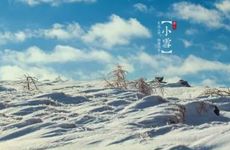 感恩节是每年什么时候 感恩节的来历和意义