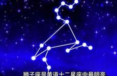 狮子座2025年感情运势