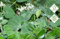 梦见太阳升上来周公解梦，梦见太阳升上来是什么意思？