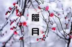 2023腊月二十二车票几号可以买