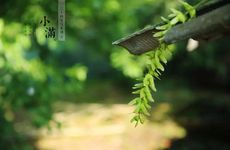 今日小满下雨好还是晴天好2023