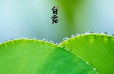 梦见大便拉在自己身上意味着什么