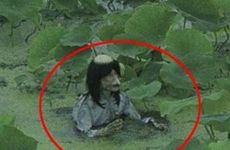属猴人养什么植物最旺财